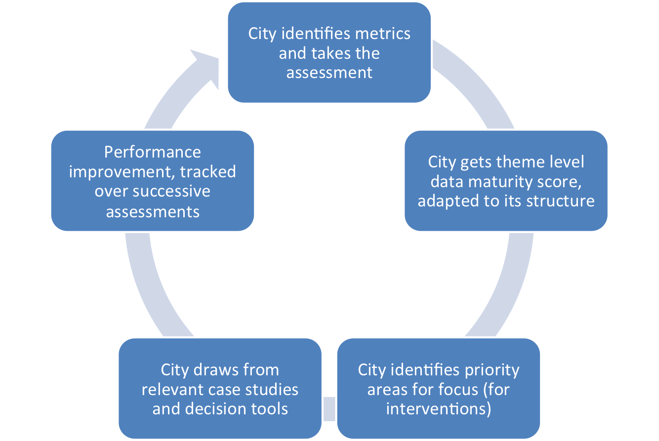 <p>Data maturity self-assessments</p>