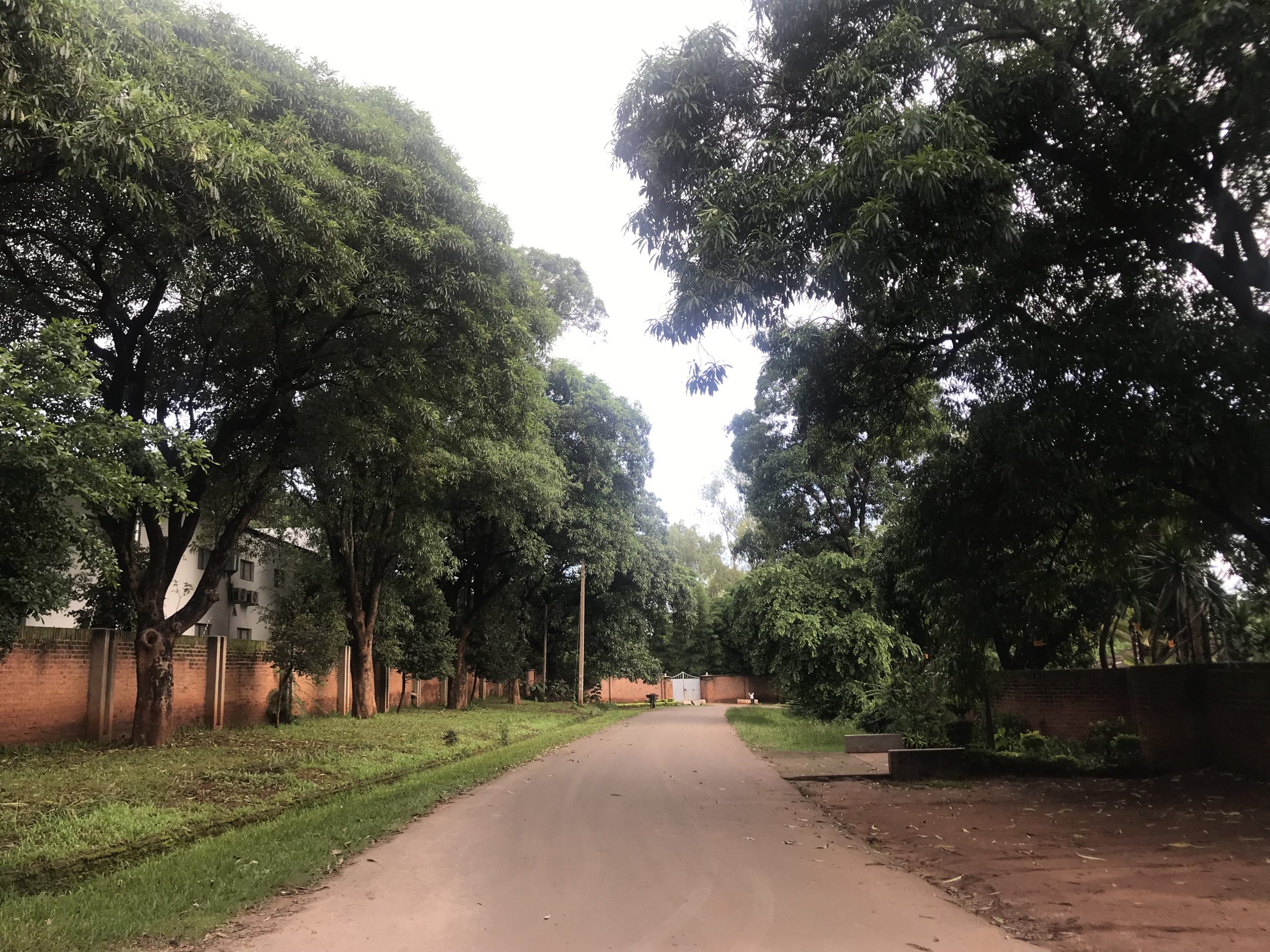 Digital Advisory Support Services for Accelerated Rural Transformation (DAS) Program